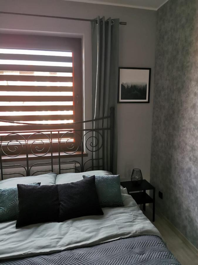 Apartament Osiedle Jelonka Apartamento Jelenia Góra Exterior foto